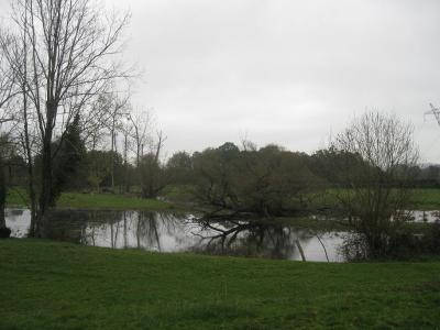 Lago de Meres